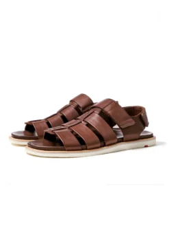 Lloyd Sandalias - Kaffee -Outlet Havaianas Tienda 65addd896d21498ca165b337e32addcb scaled