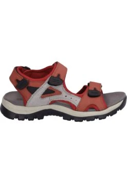 Sandalias De Senderismo - Rot Kombi -Outlet Havaianas Tienda 72ed7aa78a684cbe8d14ddd5090e0def