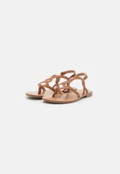 Anna Field Sandalias De Dedo - Cognac -Outlet Havaianas Tienda dedb32a143bb44859938c552f2981c37