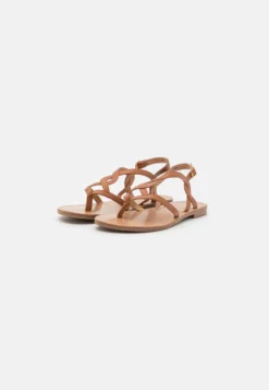 Anna Field Sandalias De Dedo - Cognac -Outlet Havaianas Tienda dedb32a143bb44859938c552f2981c37 scaled
