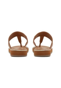 Aldo Enorel - Sandalias De Dedo - Dark Beige -Outlet Havaianas Tienda fafb8a2a21894e01ae93ef2095564e81