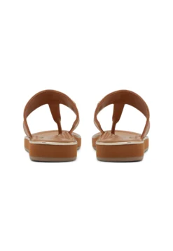 Aldo Enorel - Sandalias De Dedo - Dark Beige -Outlet Havaianas Tienda fafb8a2a21894e01ae93ef2095564e81 scaled